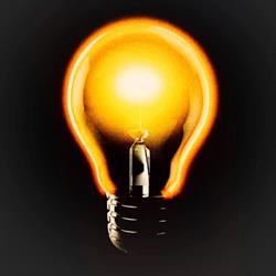 The Bulb Man