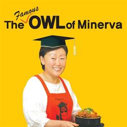 Owl Of Minerva