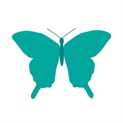 Body & Soul Day SPA Inc