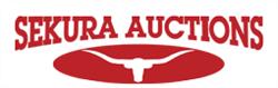 Sekura Auctions