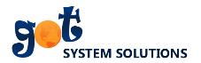Got System Solutions Inc