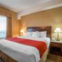 Suite with king bed Suite with king bed