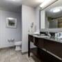 Guest room bath Guest room bath