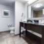 Guest room bath Guest room bath