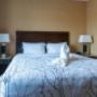 Best Western edmonton south Best Western edmonton south