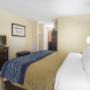 Guest room with king bed Guest room with king bed