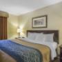 King suite King suite