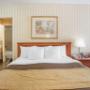 Guest room with king bed Guest room with king bed