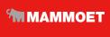 Mammoet Crane Inc