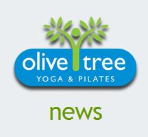 Olive Tree Yoga And Pilates Studio
