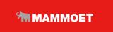 Mammoet Crane Inc