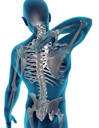 Physio & Massage Institute Ltd
