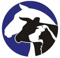 Wheat City Veterinary Clinic