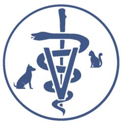 K l o Veterinary Hospital