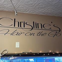 Christine's Hair On The Go