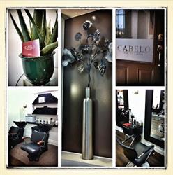Cabelo-The Art of Hair