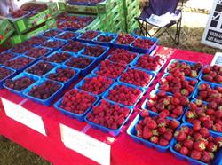 Gobind Farms