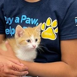 Pet Valu