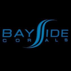 Bayside Corals