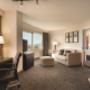 Premium 1 Bedroom Suite-King Bed Premium 1 Bedroom Suite-King Bed