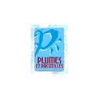 Artisanat Autochtone Plumes et Pacotilles