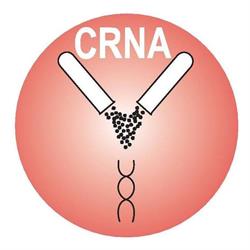 Canada RNA Biochemical Inc
