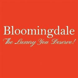 Bloomingdale Limousine Service Inc