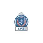 Traffic Paralegal Services