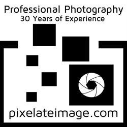 Pixelate Image