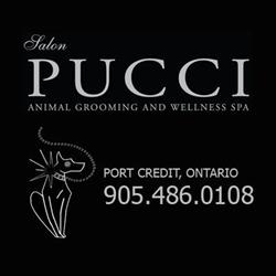 Salon Pucci Animal Grooming and Wellness SPA