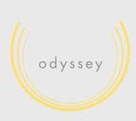 Odyssey Fireplaces Ltd