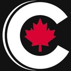 Centric Investigation Services Inc