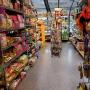 Dry Cat foods and toys. Dry Cat foods and toys.