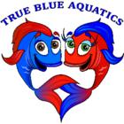 True Blue Aquatics