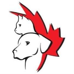 Mount Albert Veterinary Hospital