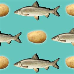 Lake Huron Fish and Chips