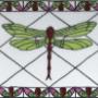 Dragonfly 8x10 Unframed Plexi Dragonfly 8x10 Unframed Plexi