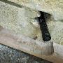 Inspecting for Mice and Rat Entry Points On Home Inspecting for Mice and Rat Entry Points On Home