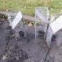 Humane Live Capture of Squirrels Humane Live Capture of Squirrels
