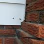 Wasps entering between brick and siding Wasps entering between brick and siding