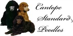 Cantope Dog Boarding Kennel