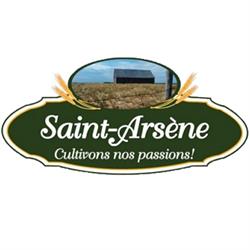 St-Arsène (Municipalité de) in Saint-Arsene