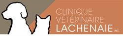 CLINIQUE VÉTÉRINAIRE DE LACHENAIE