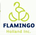 Flamingo Holland Inc