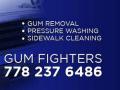 Gum Fighters Window Washing Services