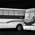 Executive-Coach-Limo