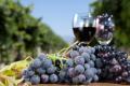Toronto Limo Wine Tour Package