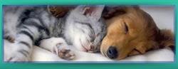 Naturapets Grooming