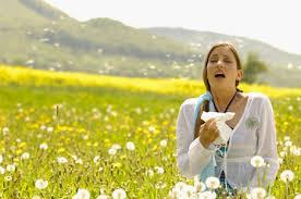 Season-Allergies