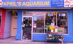 Aprils Aquarium